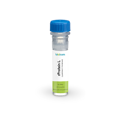 rProtein_L