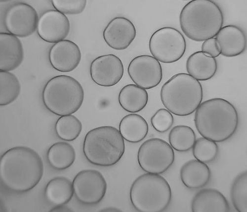 micrograph_cellopure_cm